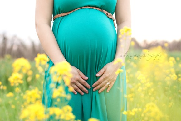'wild mustard field'