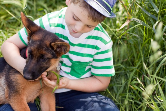 'german shepherd with boy'