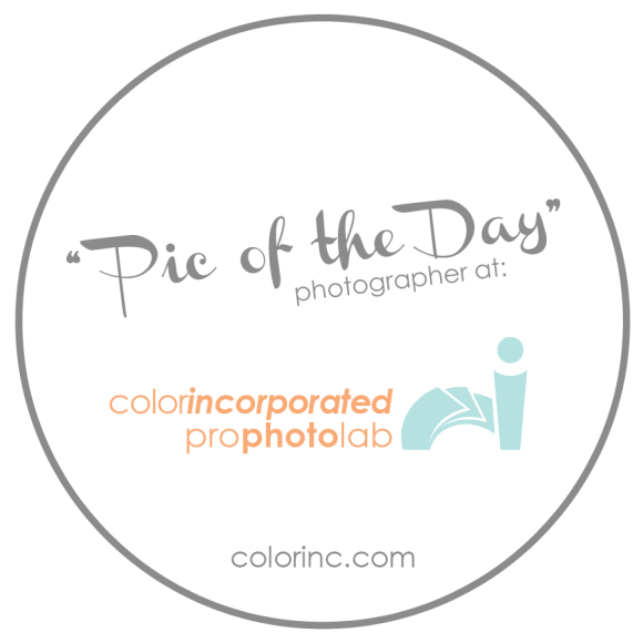 ColorInc_POD_Badge-LG-2014