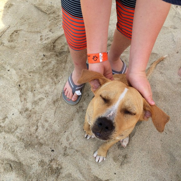 MiPhone_040715_0278b