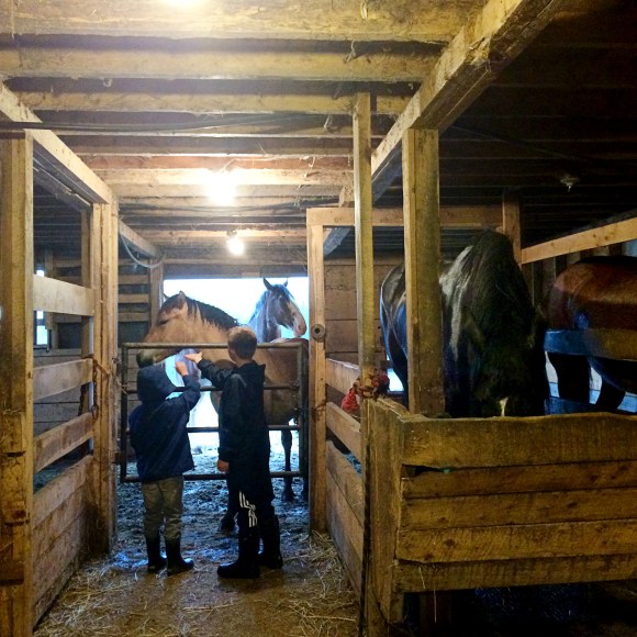 Miphone_062115_0109b