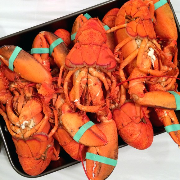 Miphone_062315_0057b