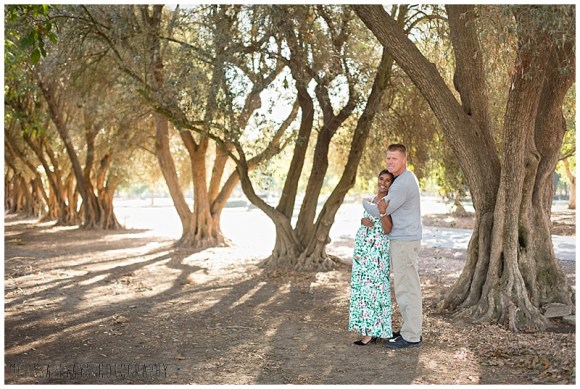 "pregnancy olive grove"